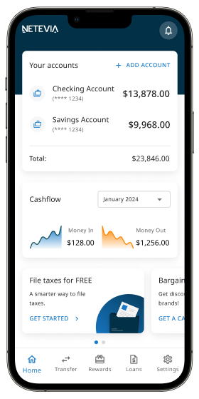 Netevia mobile banking interface illustration
